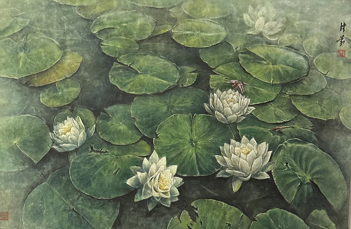 White flowers emerge among overlapping green lily pads, with dark water holding the composition together.