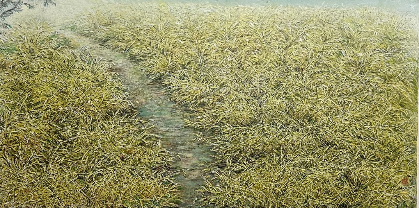 A narrow passage of water runs through fine layers of grasses, drawing the eye into the distance.