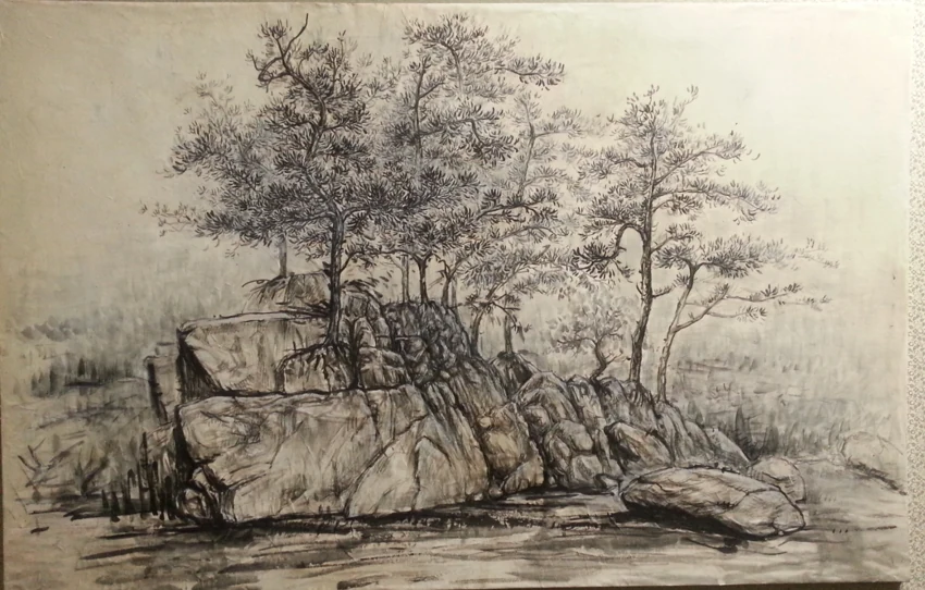 Trees rise from a rocky outcrop, their intricate branches set against a softly washed distance.