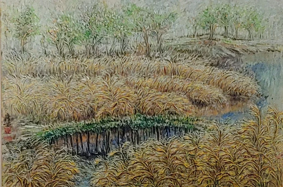 Curving channels of water divide golden grasses beneath a line of trees.
